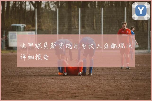 法甲球员薪资统计与收入分配现状详细报告