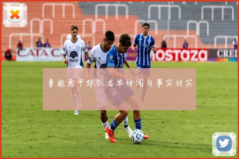 鲁能意甲球队名单传闻与事实核实