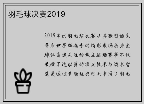 羽毛球决赛2019