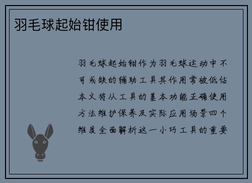 羽毛球起始钳使用